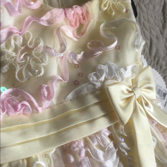 American Princess Formal Dress - Picture 4 of 5